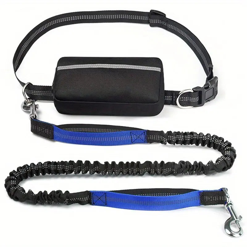 Hands-Free Dog Leash | Shock-Absorbing | Easy Control | Nylon