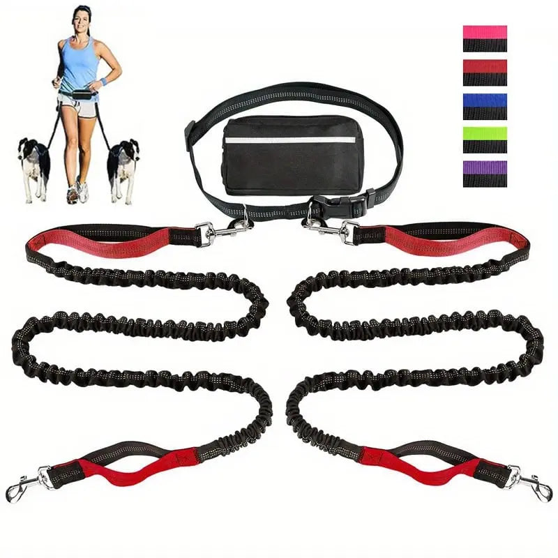 Hands-Free Dog Leash | Shock-Absorbing | Easy Control | Nylon