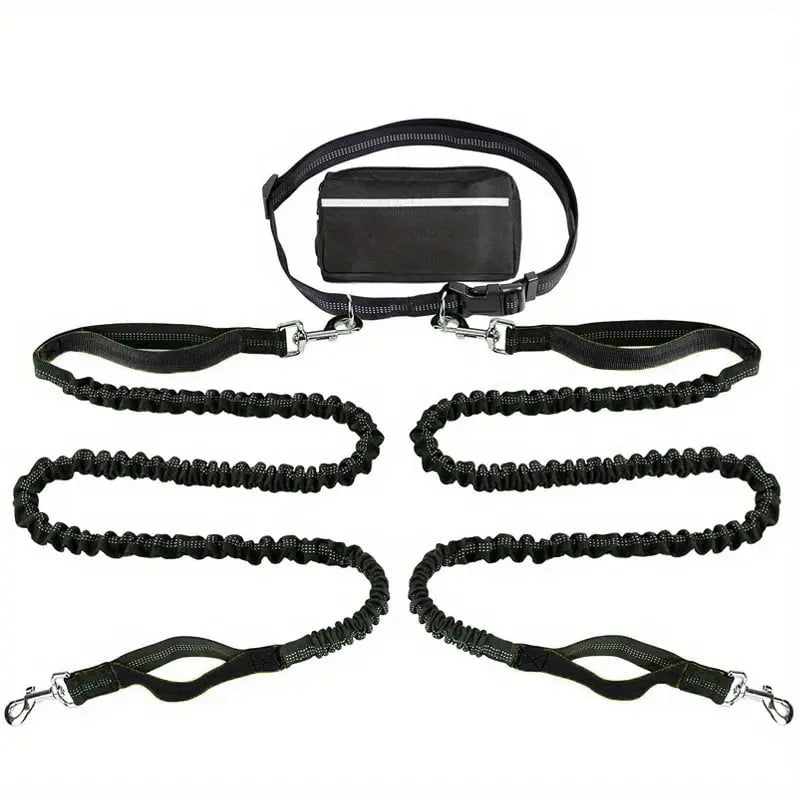 Hands-Free Dog Leash | Shock-Absorbing | Easy Control | Nylon