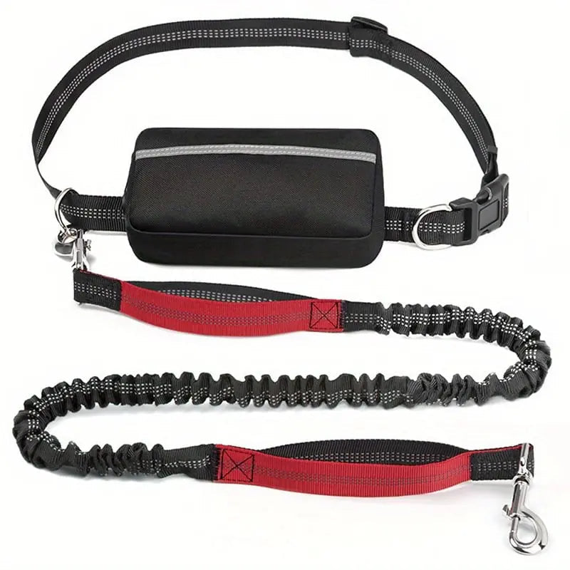 Hands-Free Dog Leash | Shock-Absorbing | Easy Control | Nylon