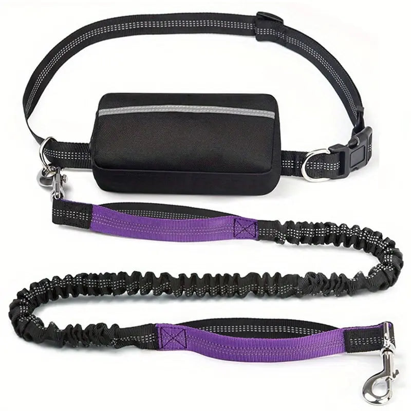 Hands-Free Dog Leash | Shock-Absorbing | Easy Control | Nylon