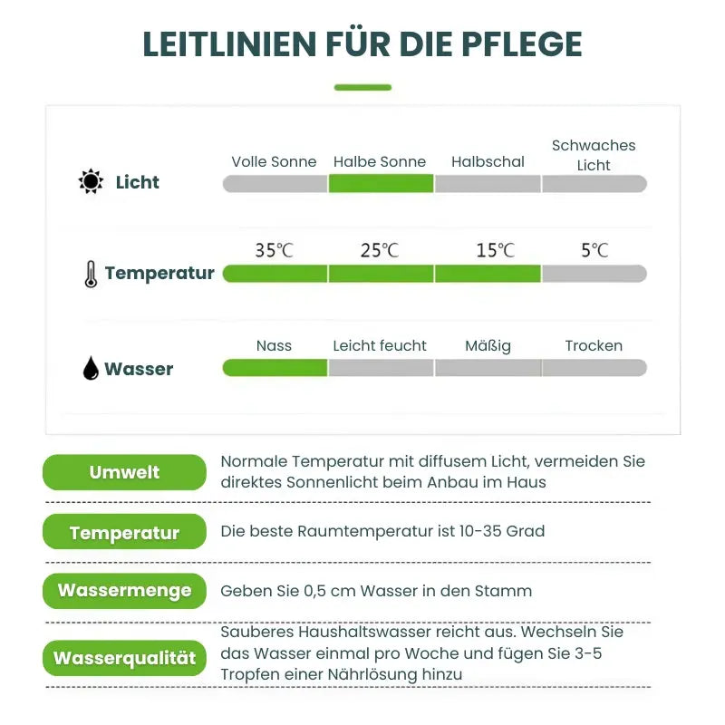 Hydroponic Plant | Air Purifying | Low Maintenance Care | Plastic