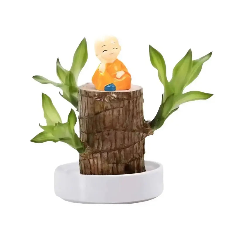 Hydroponic Plant | Air Purifying | Low Maintenance Care | Plastic