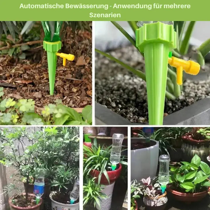 Self-Watering Spikes | Adjustable Flow | Automatic Watering | Plastic
