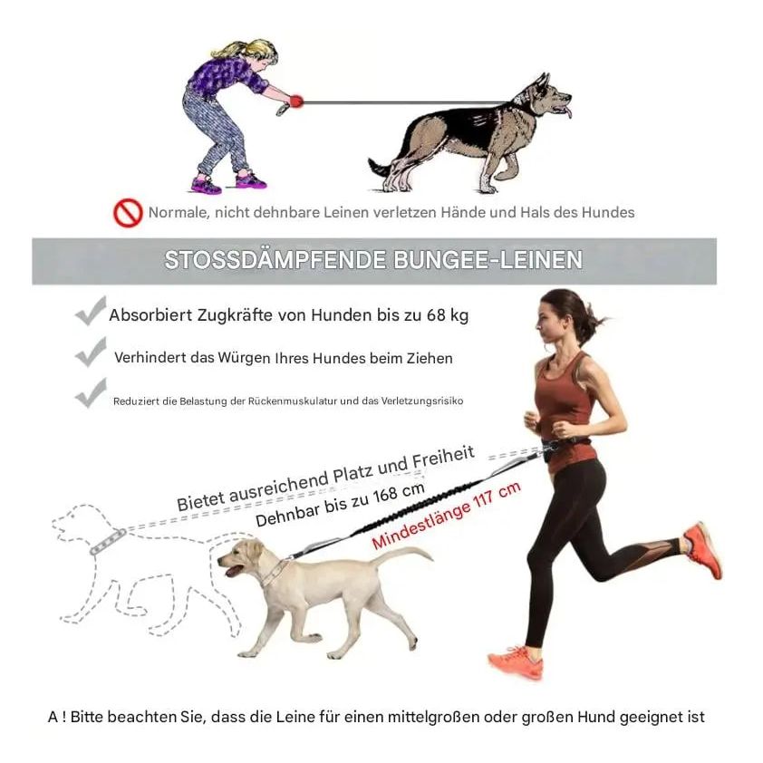 Hands-Free Dog Leash | Shock-Absorbing | Easy Control | Nylon