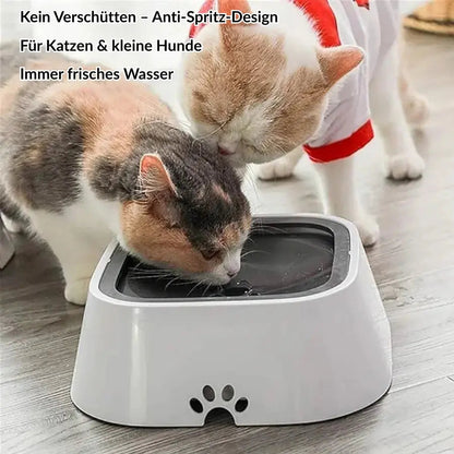 Pet Water Dispenser | Splash Proof | Filtered Clean Water | Plastic