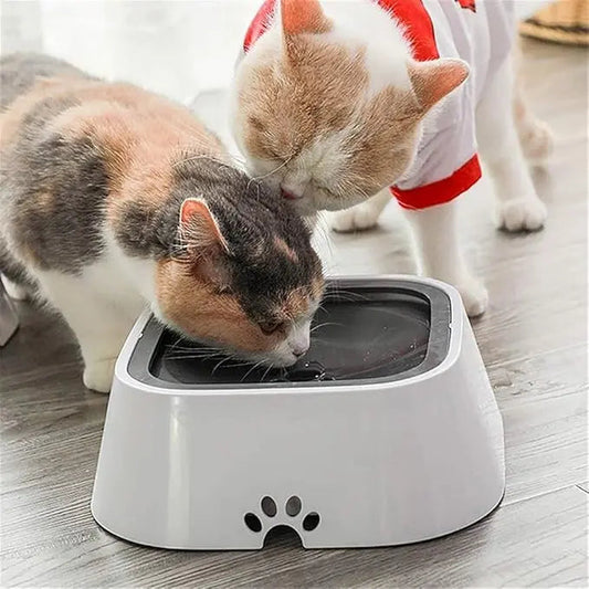 Pet Water Dispenser | Splash-proof | Healthy Hydration | Plastic