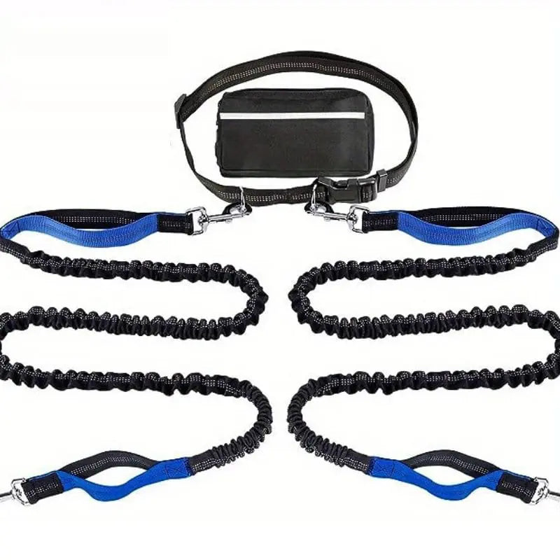 Hands-Free Dog Leash | Shock-Absorbing | Easy Control | Nylon