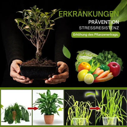 Soil Conditioner | Fast Transformation | Enriches Soil | Natural