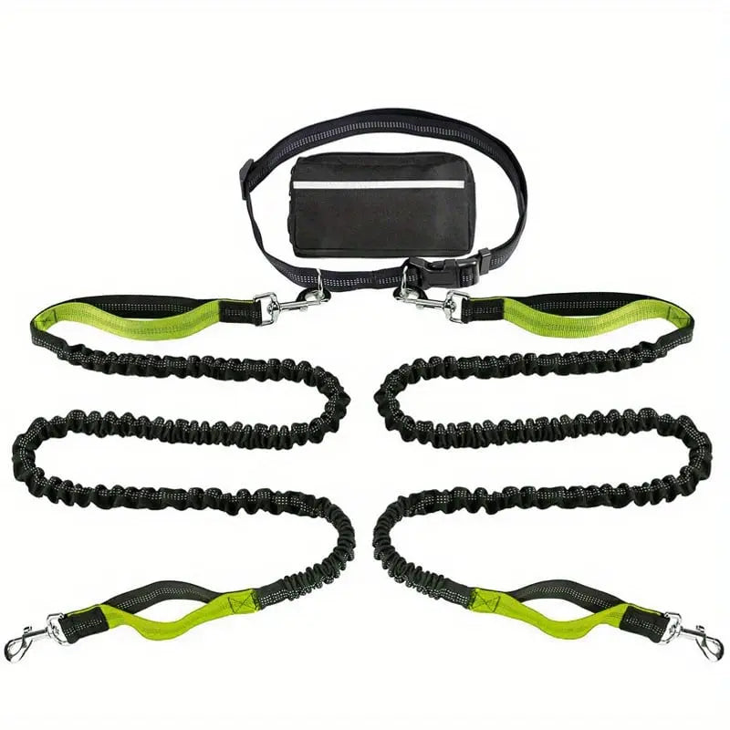 Hands-Free Dog Leash | Shock-Absorbing | Easy Control | Nylon