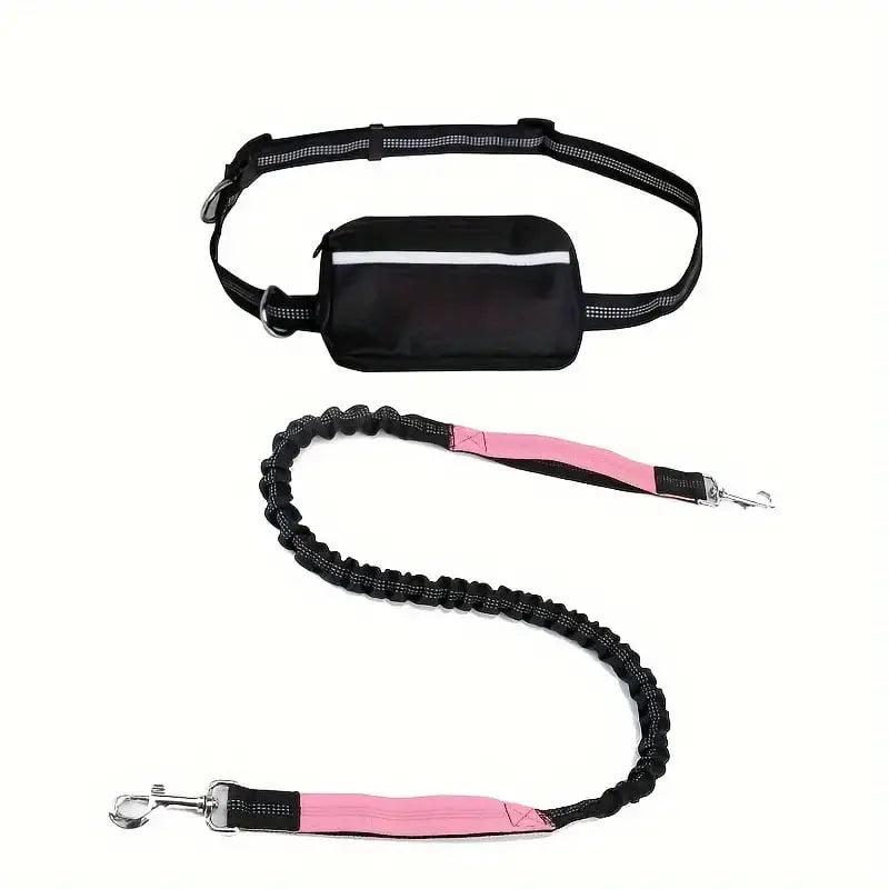 Hands-Free Dog Leash | Shock-Absorbing | Easy Control | Nylon