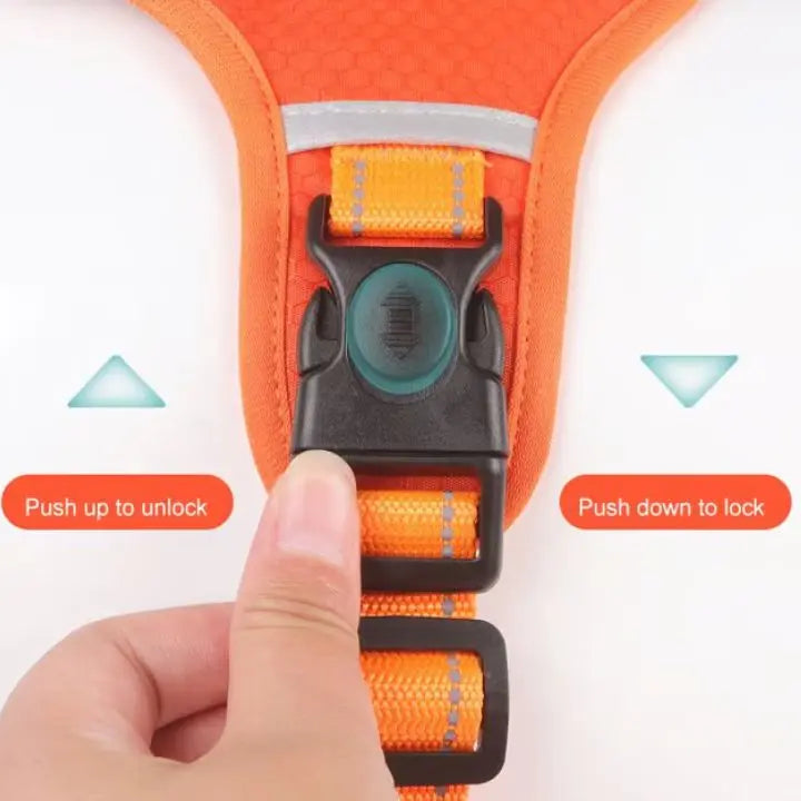 Dog Harness | Reflective | Gentle Control | Nylon