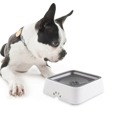 Pet Water Dispenser | Splash-proof | Healthy Hydration | Plastic