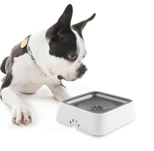 Pet Water Dispenser | Splash-proof | Healthy Hydration | Plastic
