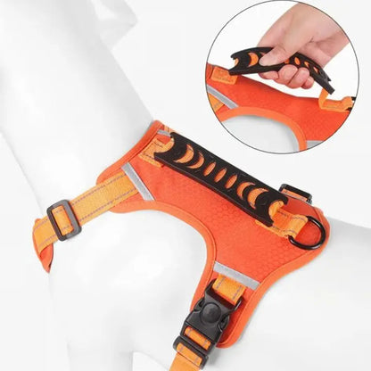 Dog Harness | Reflective | Gentle Control | Nylon