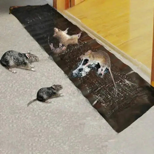 Rat Glue Trap | Non-stick Adhesive | Chemical-free Safety | Plastic
