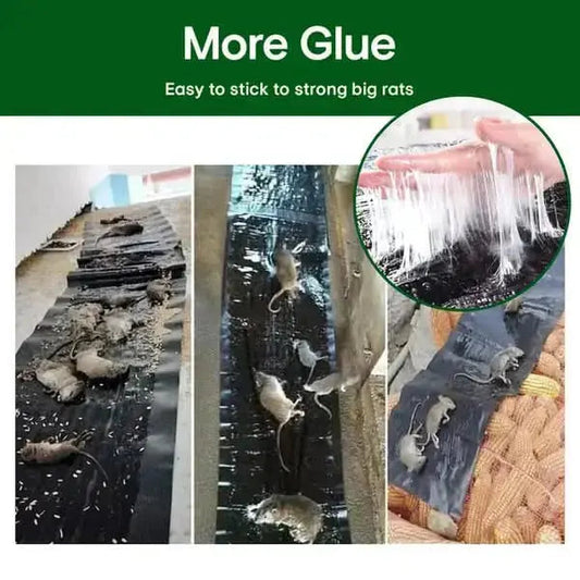 Rat Glue Trap | Non-stick Adhesive | Chemical-free Safety | Plastic