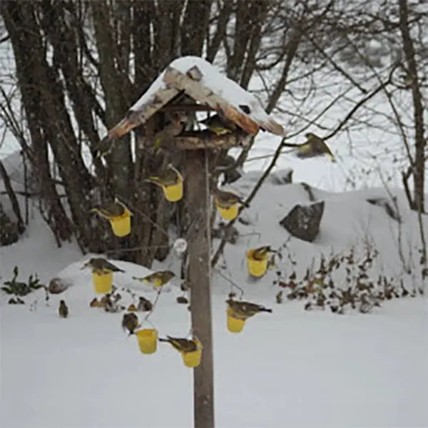 Bird Feeder | Rotatable Design | Easy Installation | Metal