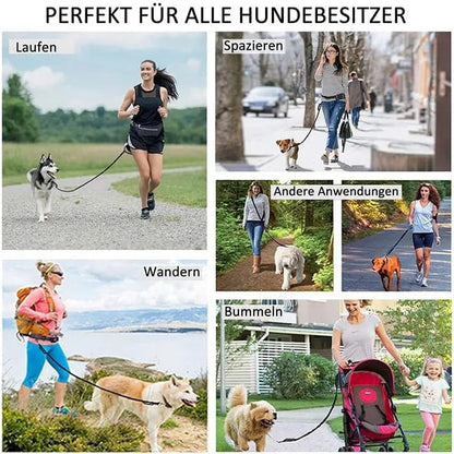 Hands-Free Dog Leash | Shock-Absorbing | Easy Control | Nylon