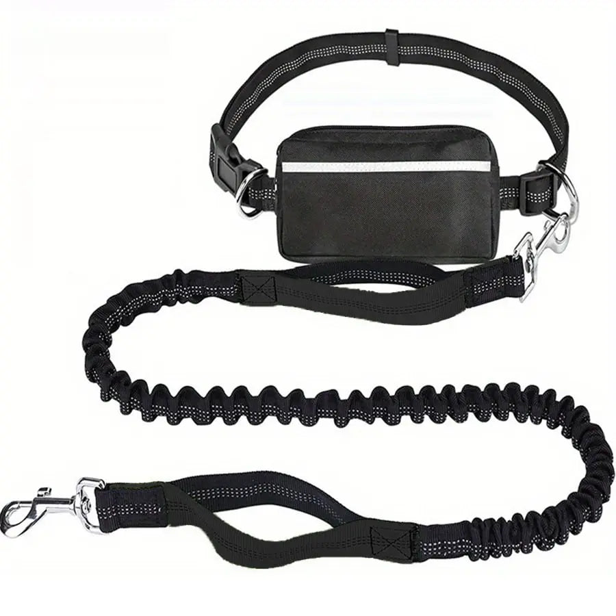 Hands-Free Dog Leash | Shock-Absorbing | Easy Control | Nylon