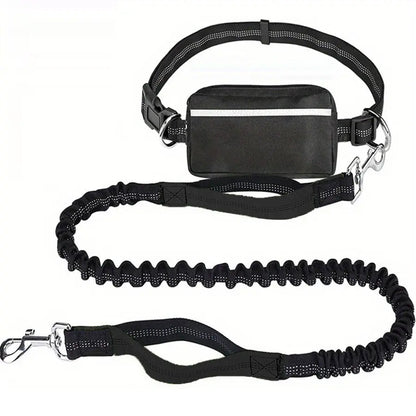 Hands-Free Dog Leash | Shock-Absorbing | Easy Control | Nylon