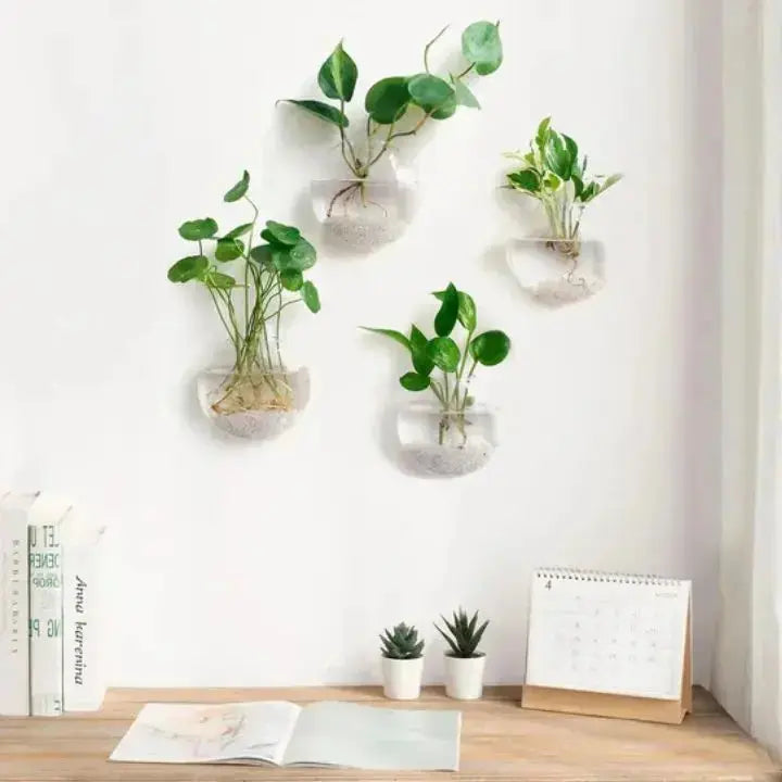 Glass Wall Vase | Space-saving | Easy Installation | Glass