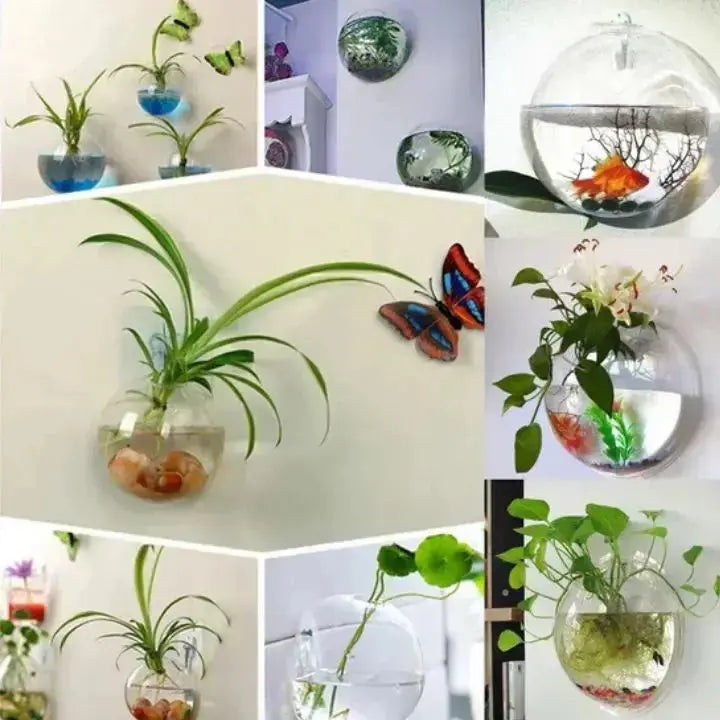 Glass Wall Vase | Space-saving | Easy Installation | Glass