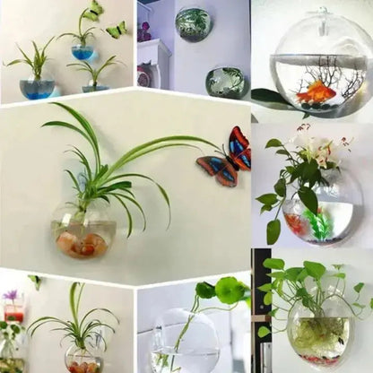 Glass Wall Vase | Space-saving | Easy Installation | Glass