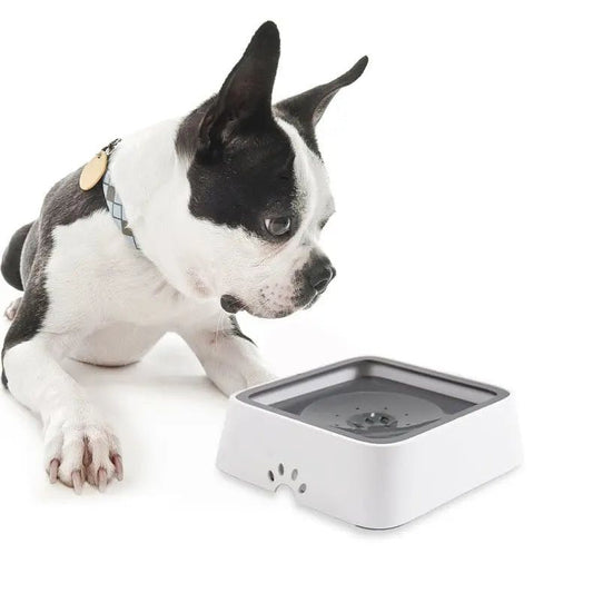 Pet Water Dispenser | Splash Proof | Filtered Clean Water | Plastic